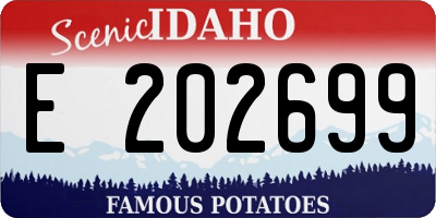 ID license plate E202699