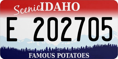 ID license plate E202705