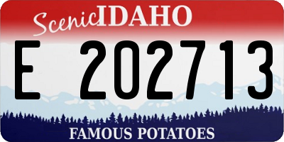 ID license plate E202713