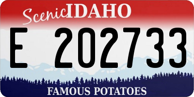 ID license plate E202733