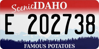 ID license plate E202738