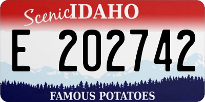 ID license plate E202742