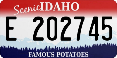 ID license plate E202745