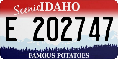 ID license plate E202747