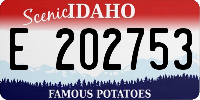 ID license plate E202753