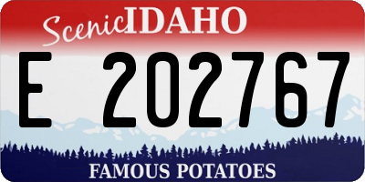 ID license plate E202767