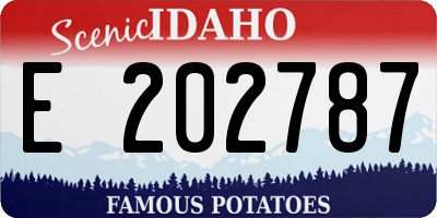 ID license plate E202787