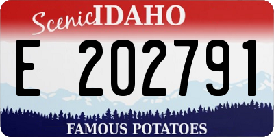 ID license plate E202791