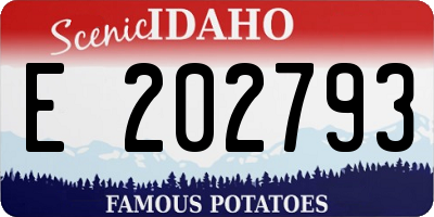 ID license plate E202793