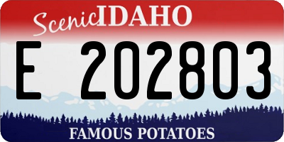 ID license plate E202803