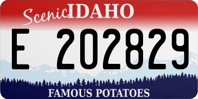 ID license plate E202829