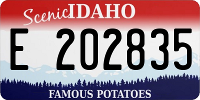 ID license plate E202835