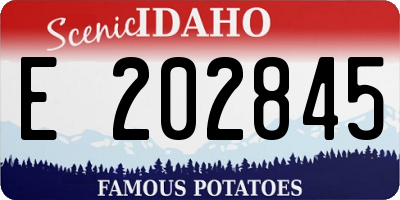 ID license plate E202845