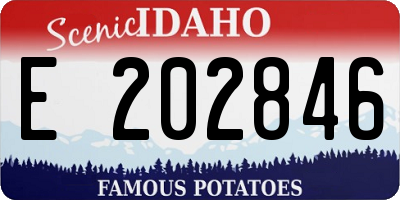 ID license plate E202846