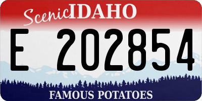 ID license plate E202854