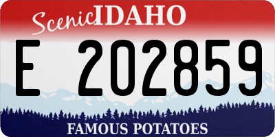 ID license plate E202859