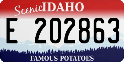 ID license plate E202863