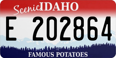 ID license plate E202864