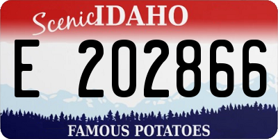 ID license plate E202866