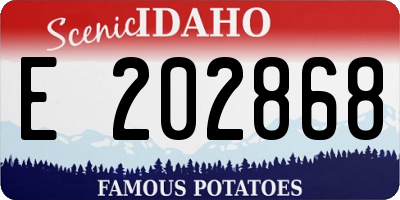 ID license plate E202868