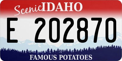 ID license plate E202870