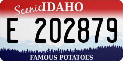 ID license plate E202879