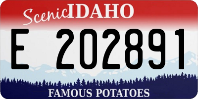 ID license plate E202891