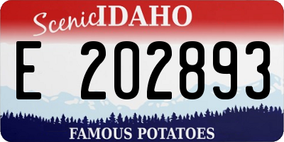 ID license plate E202893