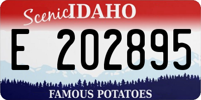 ID license plate E202895