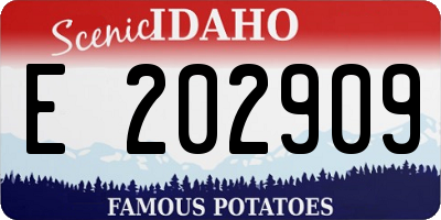 ID license plate E202909