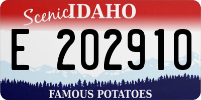 ID license plate E202910