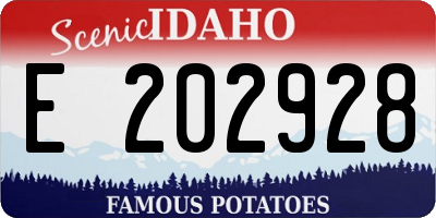 ID license plate E202928
