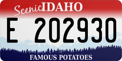 ID license plate E202930