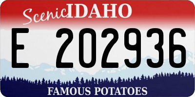 ID license plate E202936