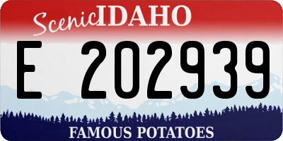 ID license plate E202939