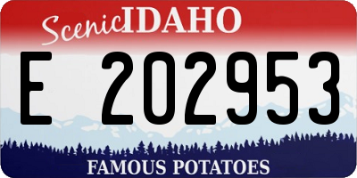 ID license plate E202953