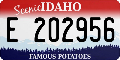 ID license plate E202956