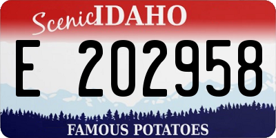 ID license plate E202958