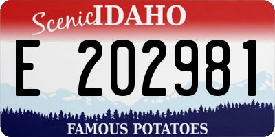 ID license plate E202981