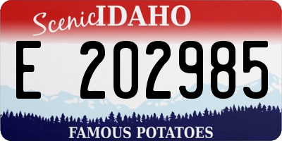 ID license plate E202985
