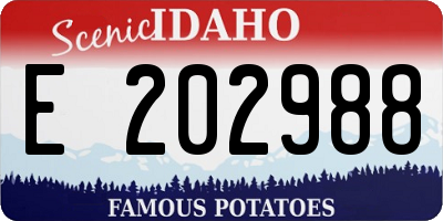 ID license plate E202988