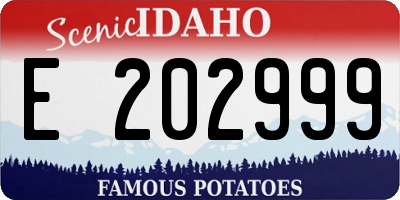 ID license plate E202999