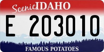 ID license plate E203010