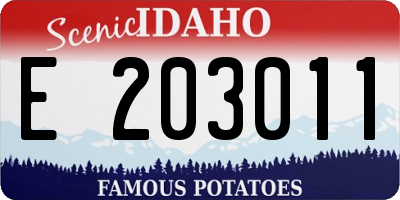 ID license plate E203011