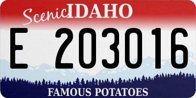 ID license plate E203016