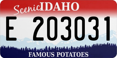 ID license plate E203031