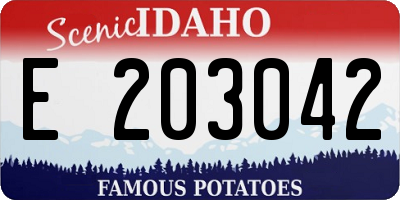 ID license plate E203042