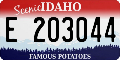 ID license plate E203044