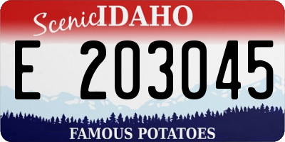ID license plate E203045