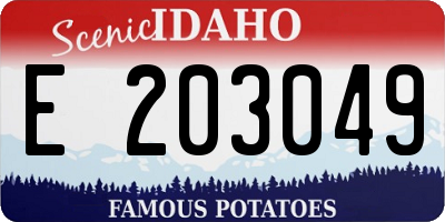 ID license plate E203049